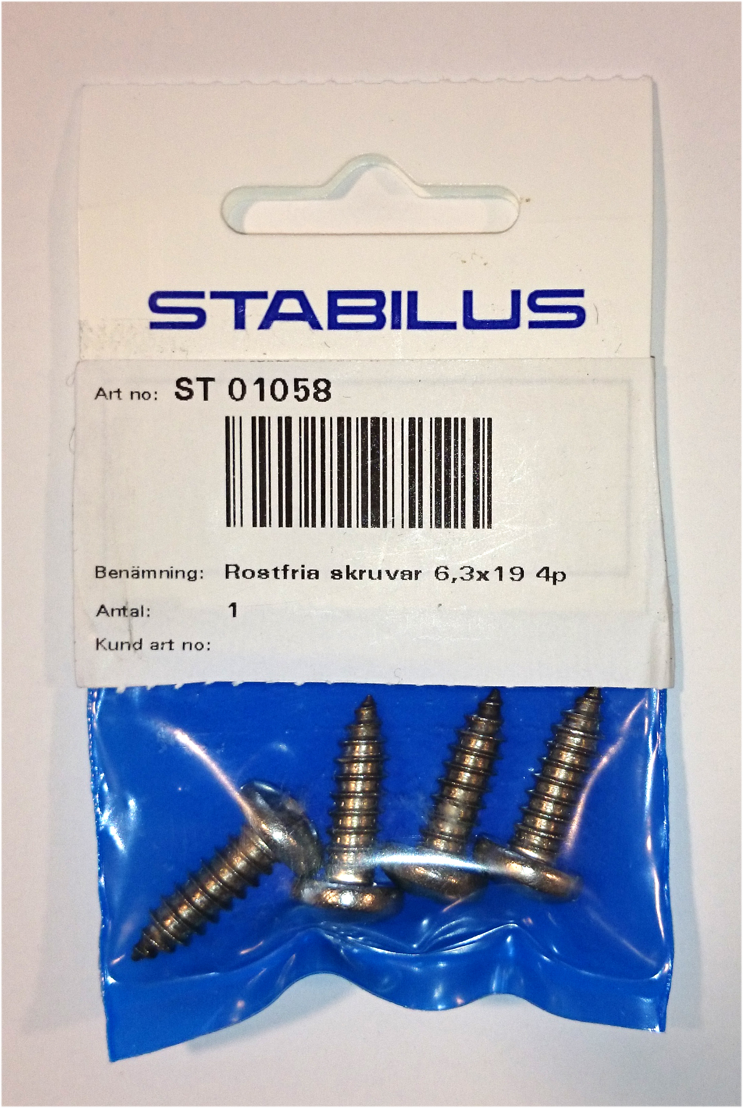 Rustfritta Skruer 6,3x19 4p