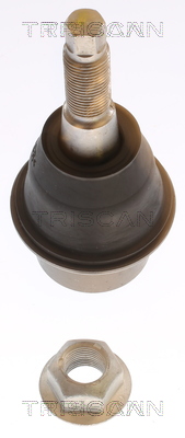 B�rekugle Nederste