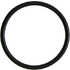 O-ring Termostat