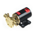 Impellerpumpe 12V F38B-19