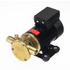 Impellerpumpe 12V F3B-19 Olje