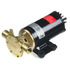 Impellerpumpe 12V F4B-11